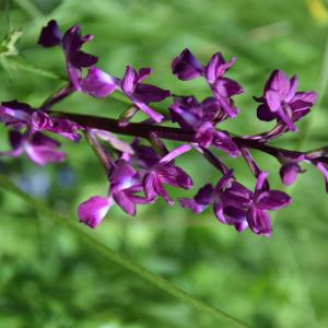 Annexe img_002297672CRS.jpg