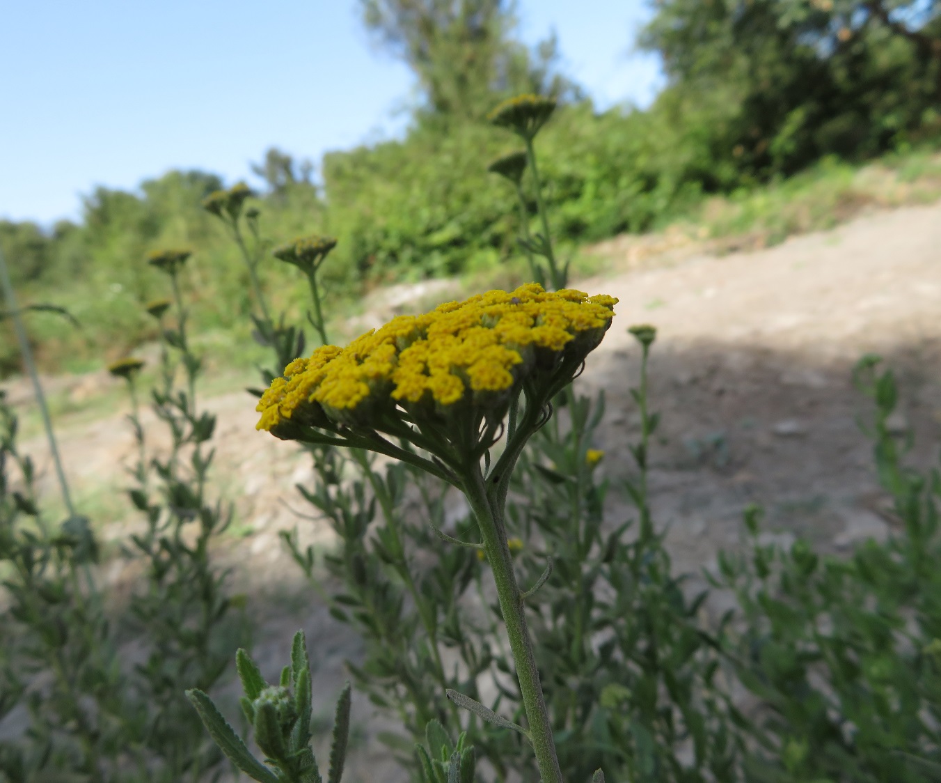 Annexe img 002325347O.jpg