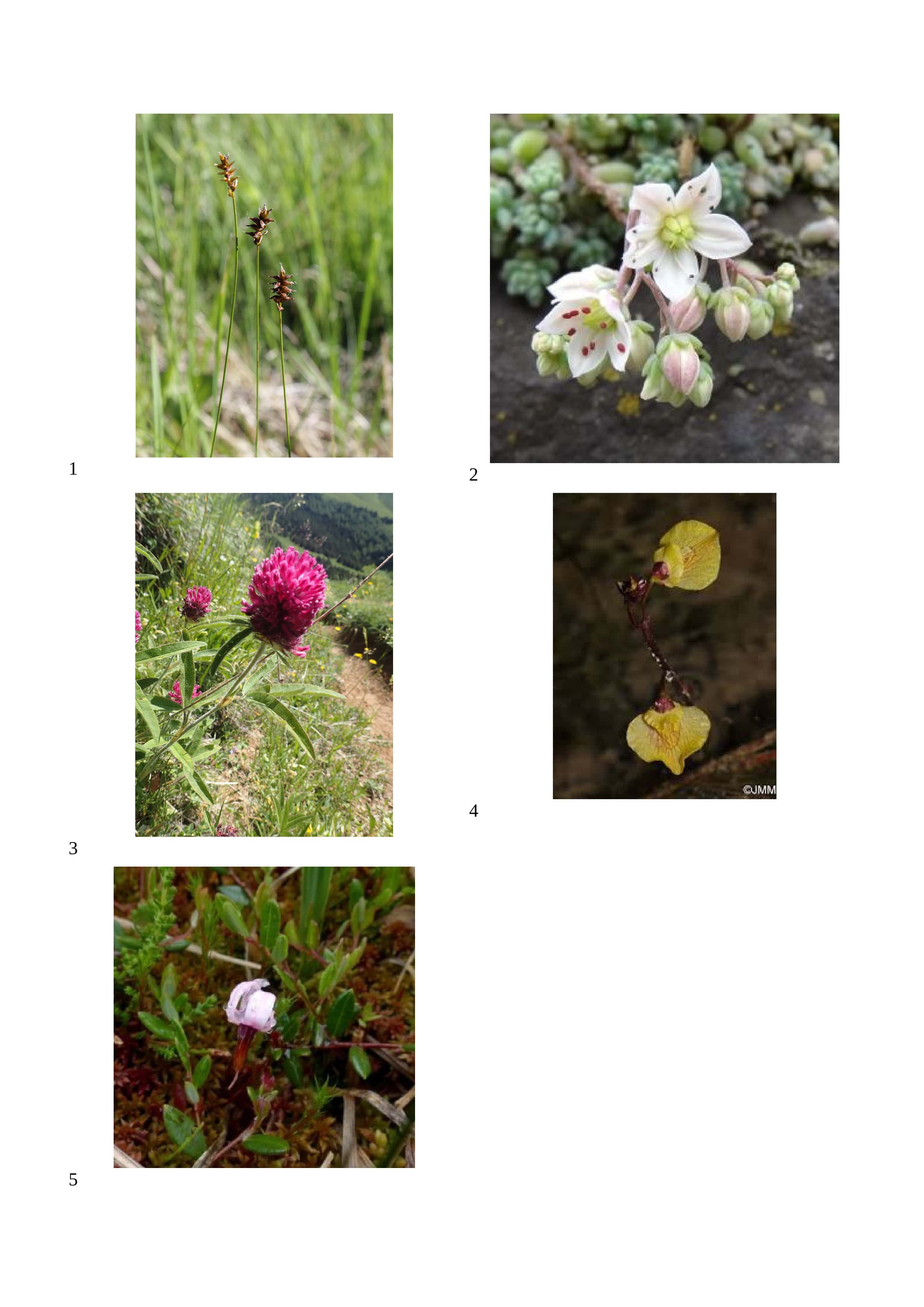 Annexe Les-belles-disparues-du-val-de-Loire...jpg