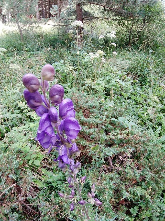 Annexe img002397808O.jpg