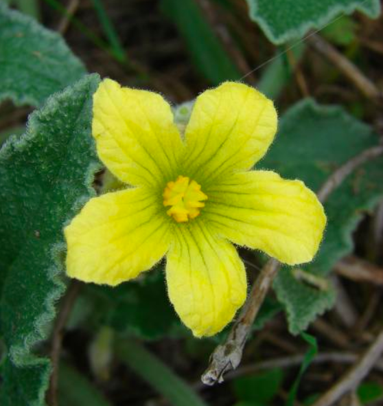 Annexe Capture d’écran 2020-05-07 à 18.56.46.png