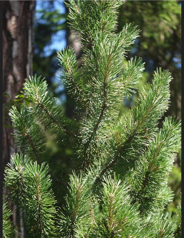 Annexe 2020-04-16_22h35_54.jpg