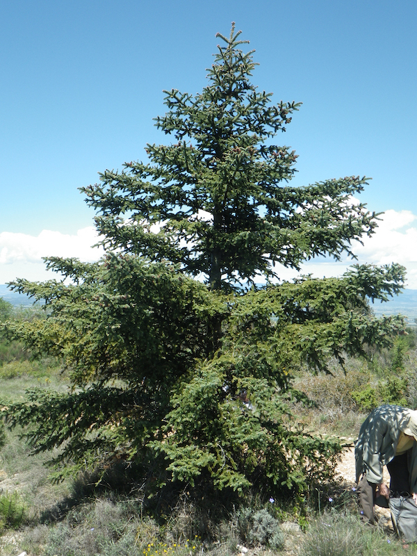 Annexe img_000072455O.jpg