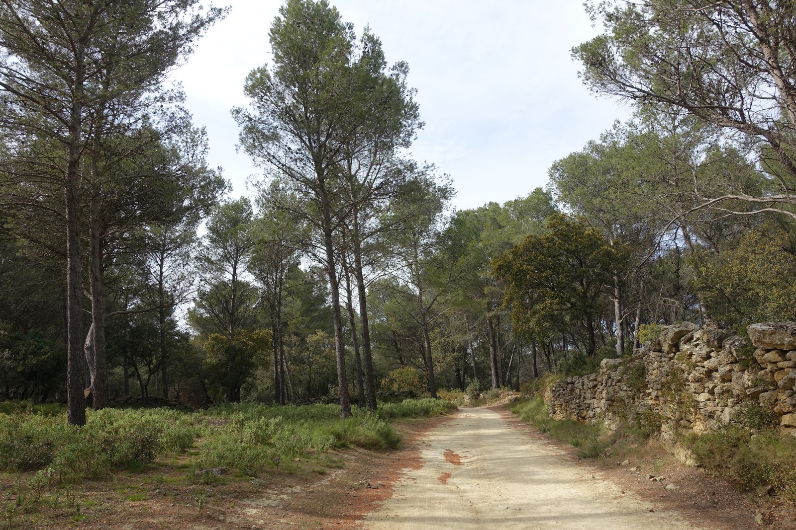 Annexe DSC06119 (Copier).JPG