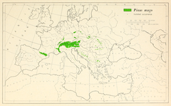 Annexe CL-29_Pinus_mugo_range_map.png