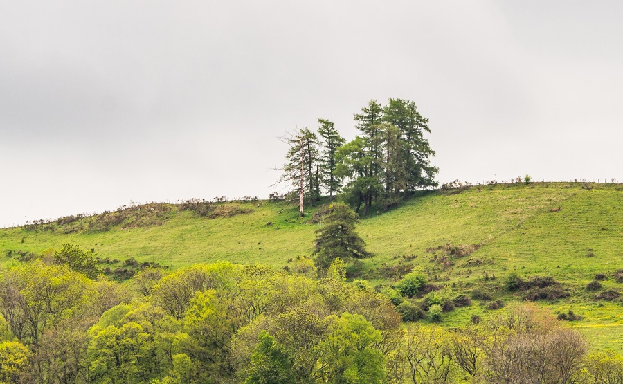 Annexe _4190666-2 - Copie.jpg