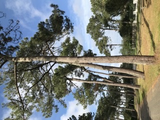 Annexe 398A8255-C35D-4E84-BE59-81BDC5BE019B.jpeg