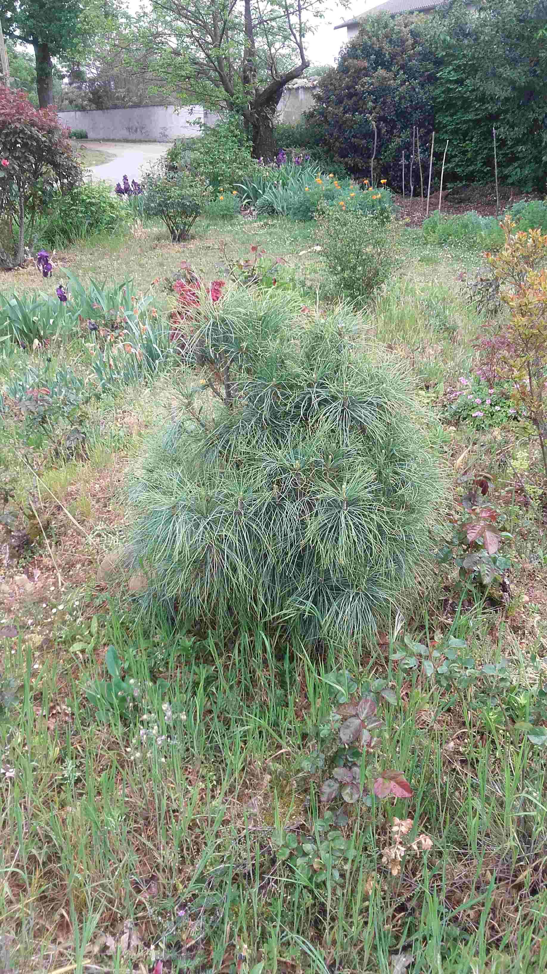 Annexe 20200420_120817_1.jpg