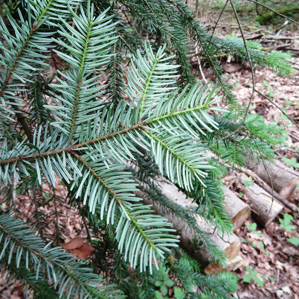 Annexe img-002093703O.jpg