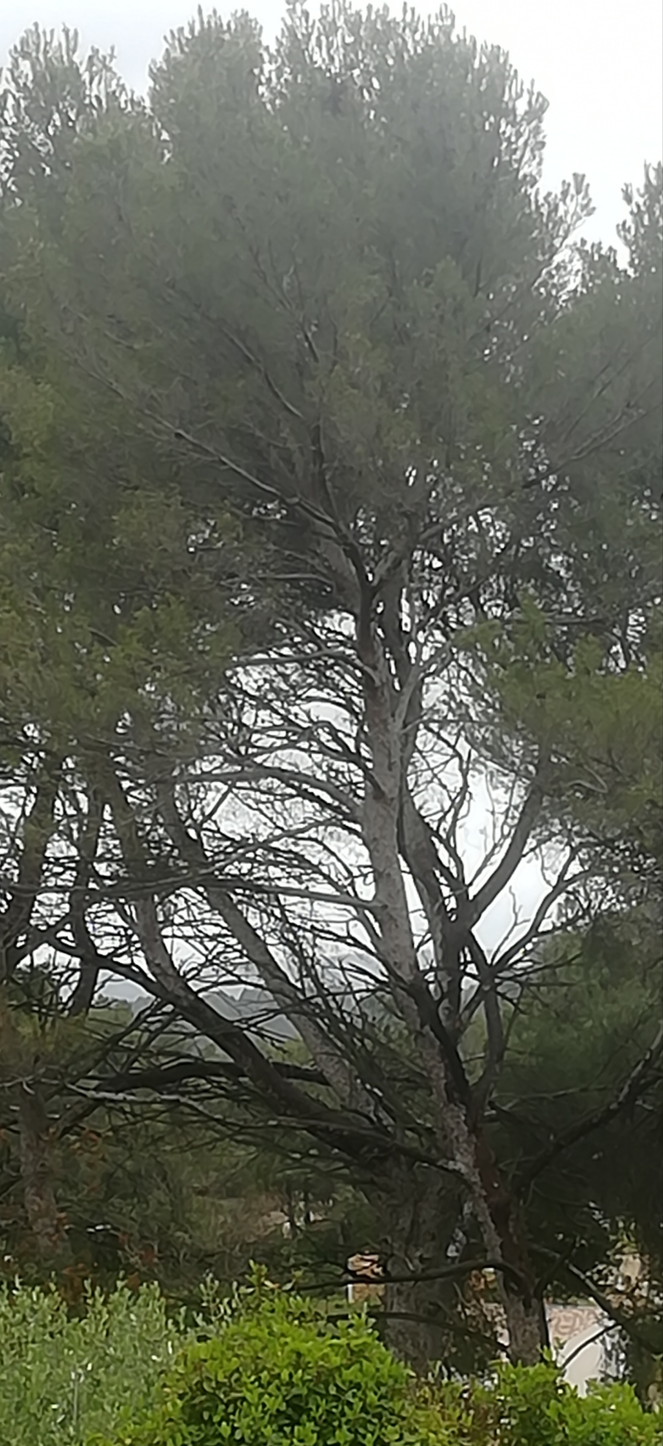 Annexe IMG_20200420_171844.jpg