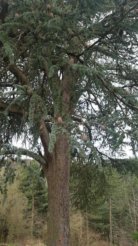 Annexe 20200219_135616.jpg