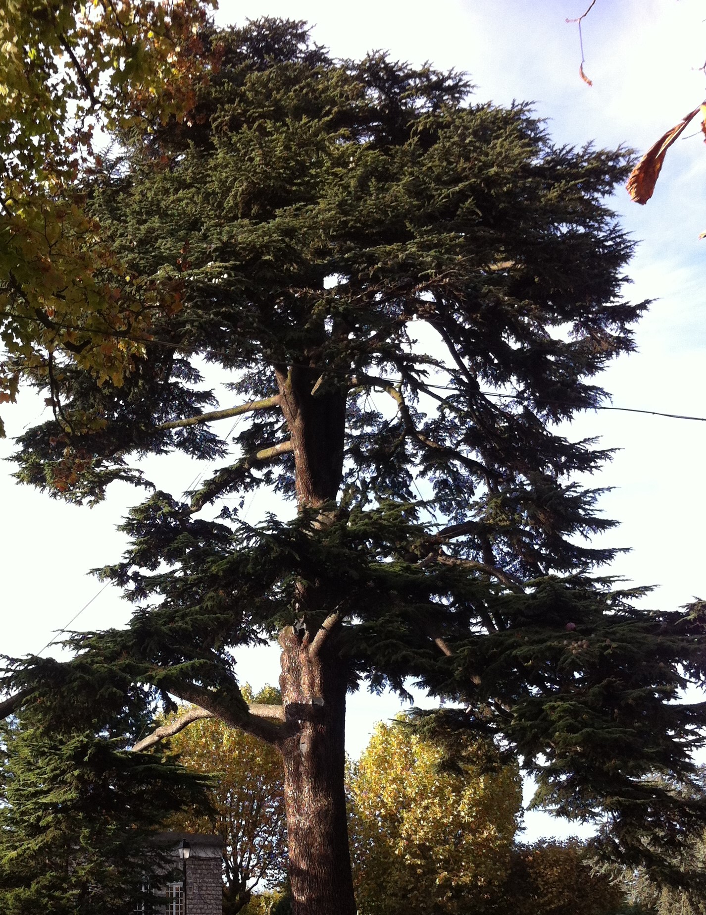 Annexe IMG_0648 mairie.jpg