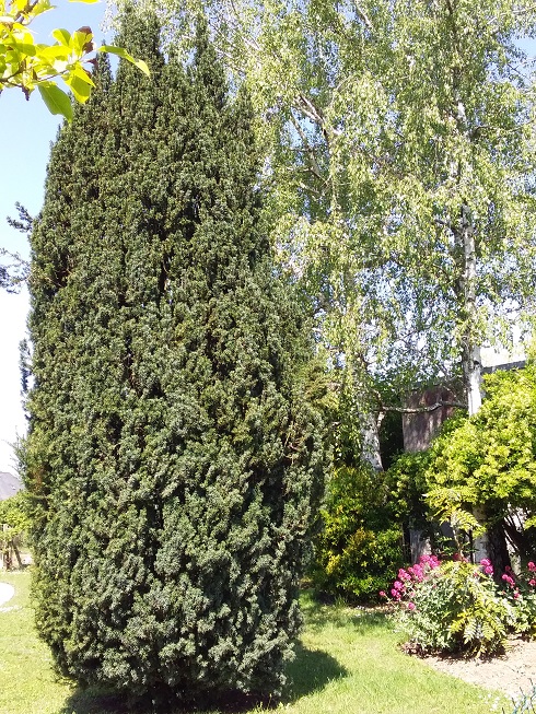 Annexe Seq6 Suj4 z activité.jpg