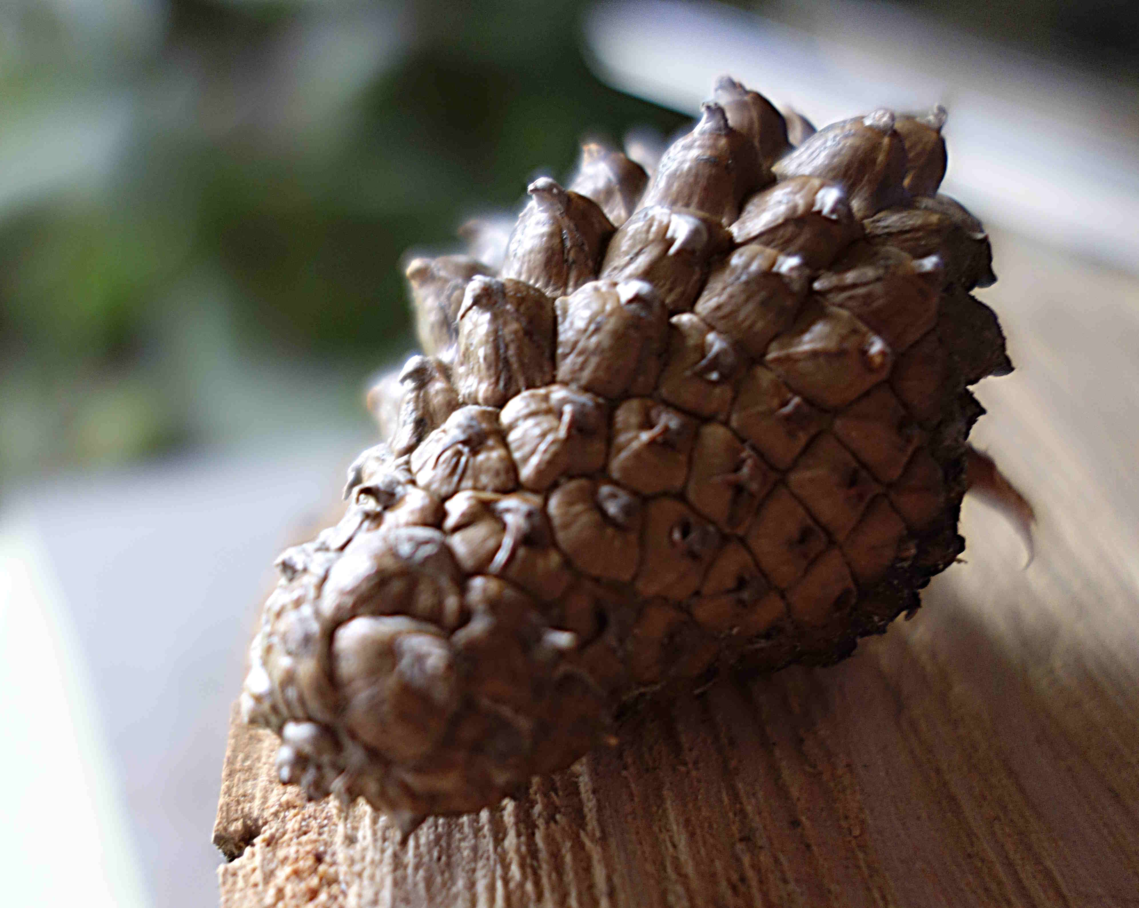 Annexe pii-crochet-petit.JPG