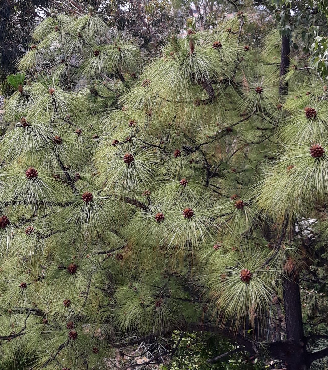 Annexe 20200426_131210.jpg