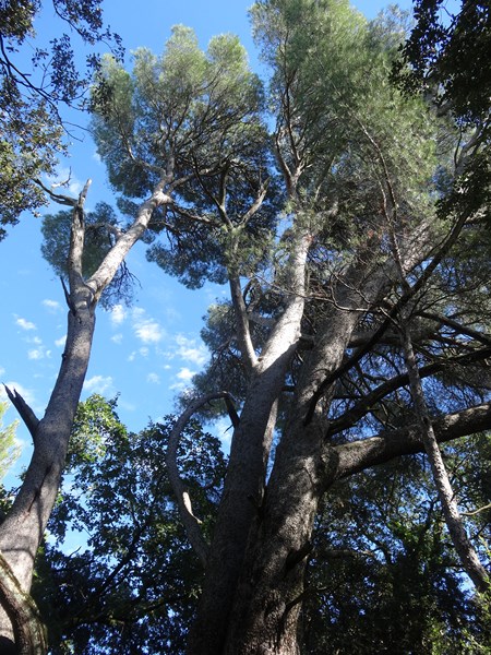 Annexe DSC09365b.JPG