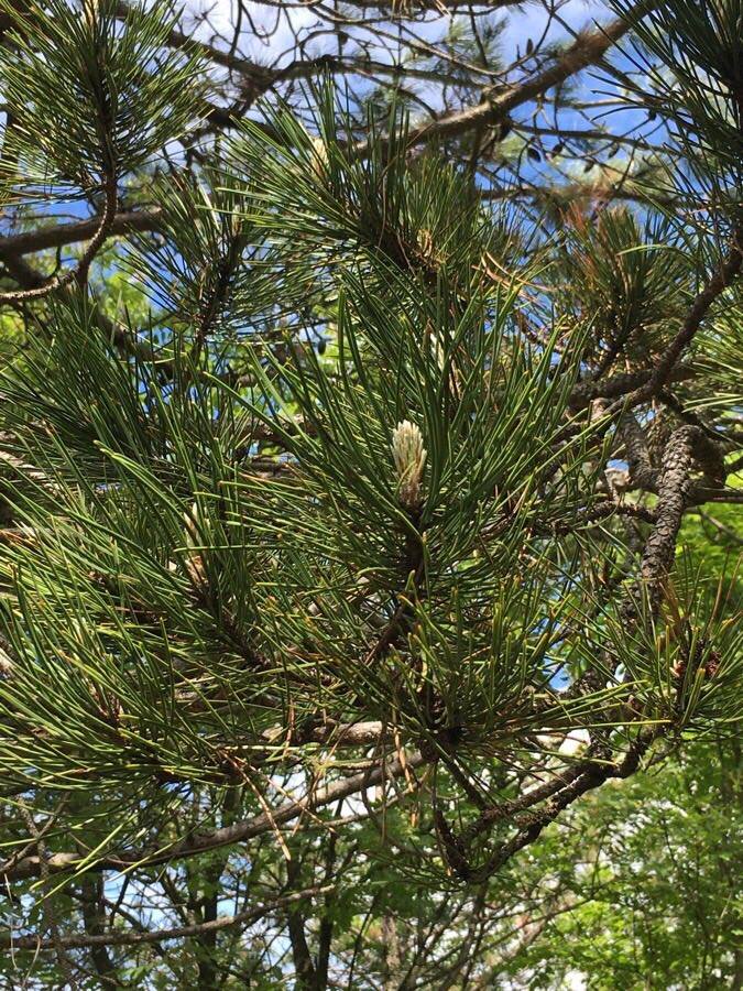 Annexe 95482049_653951518781911_2150043250939920384_n.jpg