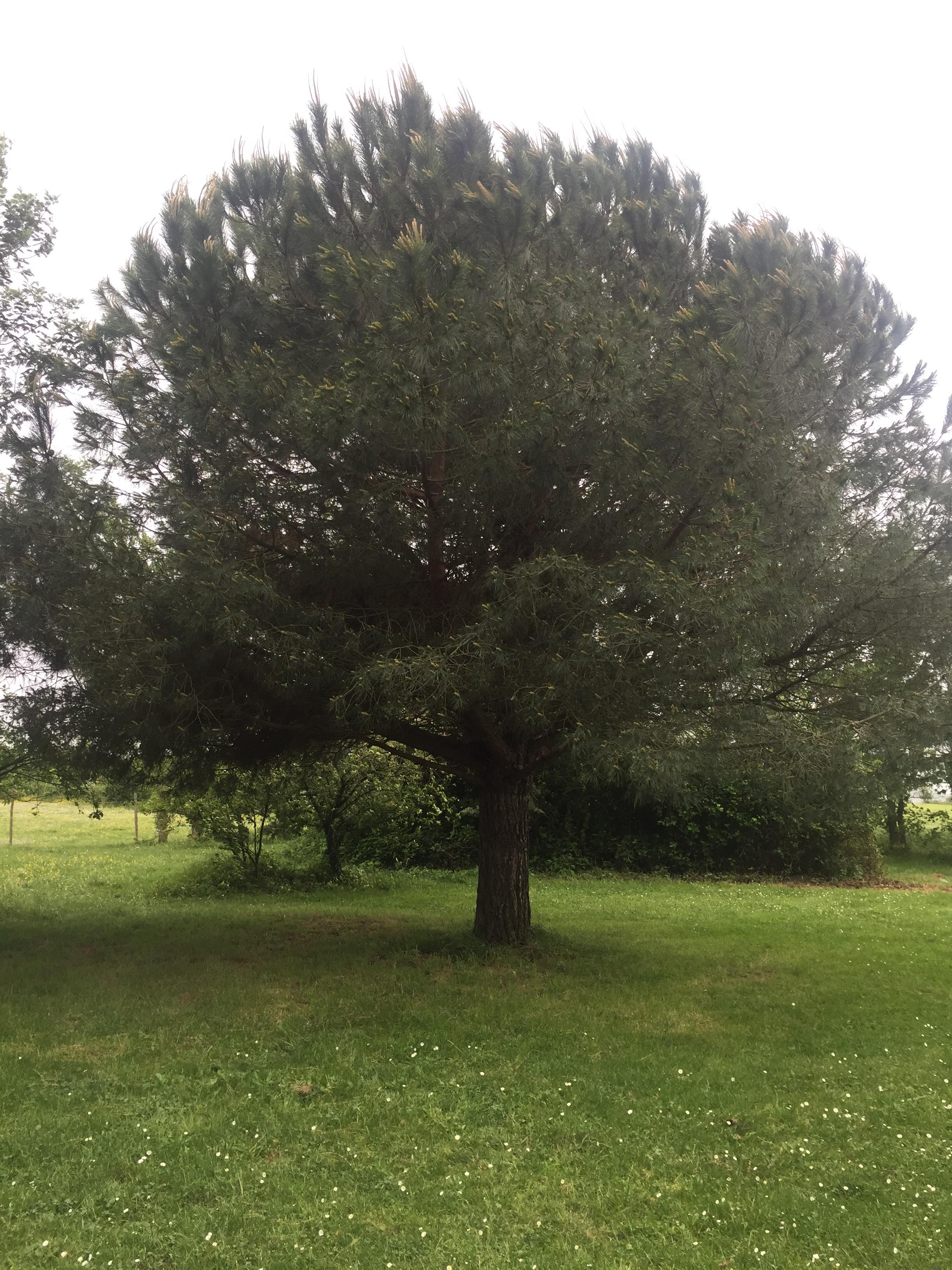 Annexe 89728090_277866733240107_202069973529526272_n.jpg