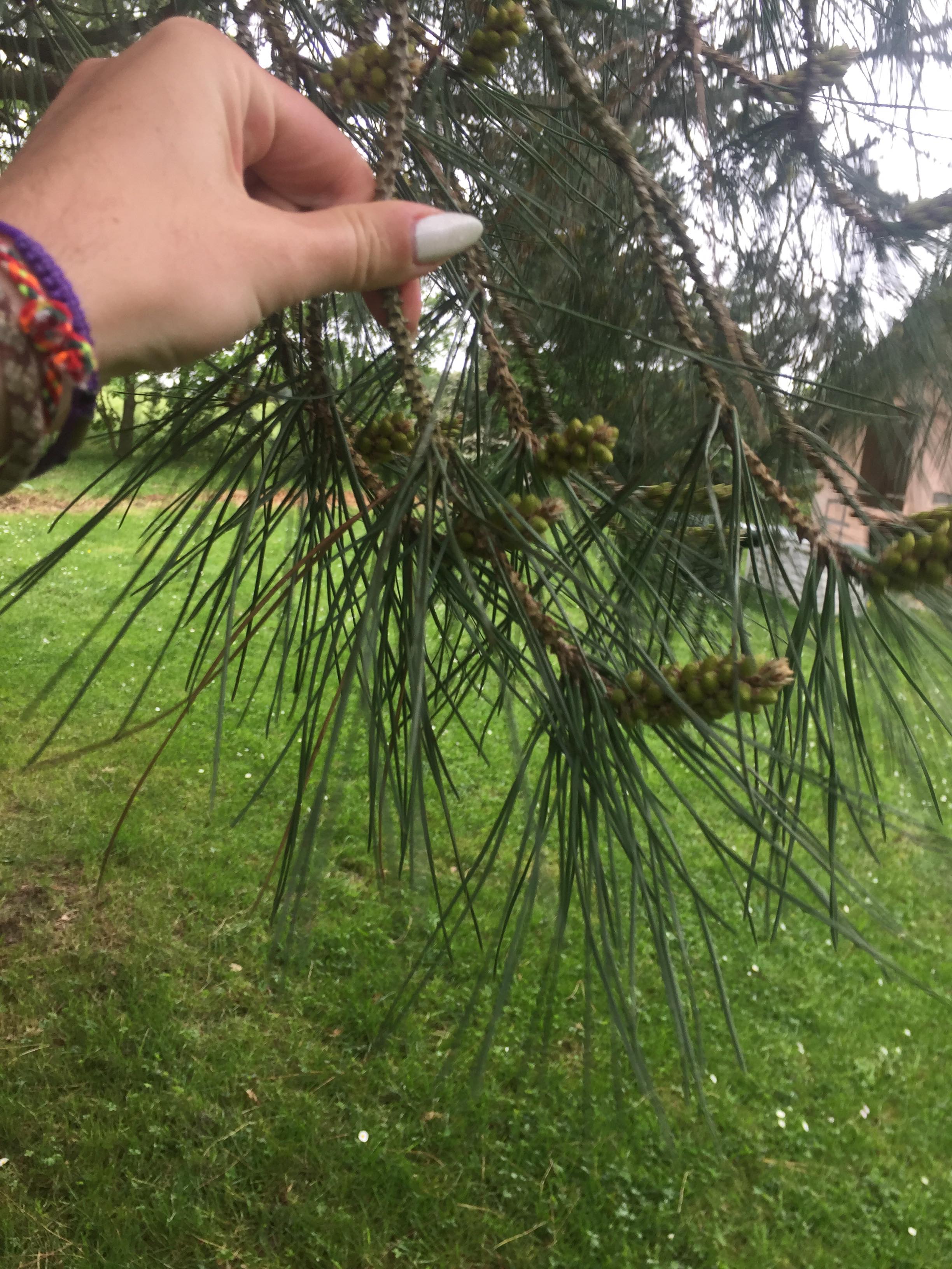 Annexe 94675764_222732935694182_8029620674756608000_n.jpg