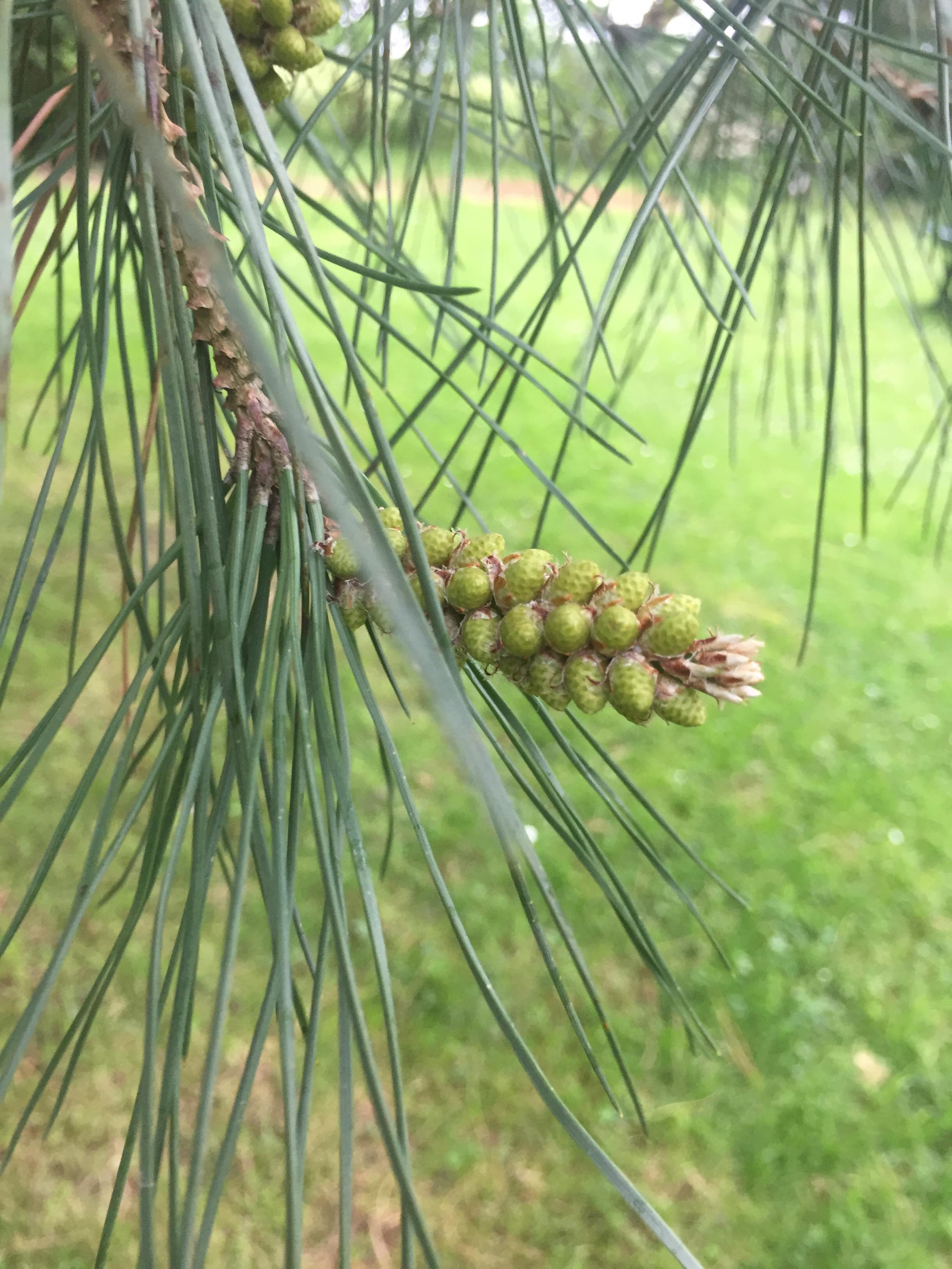 Annexe 94749403_1552584138240513_116870814652956672_n.jpg