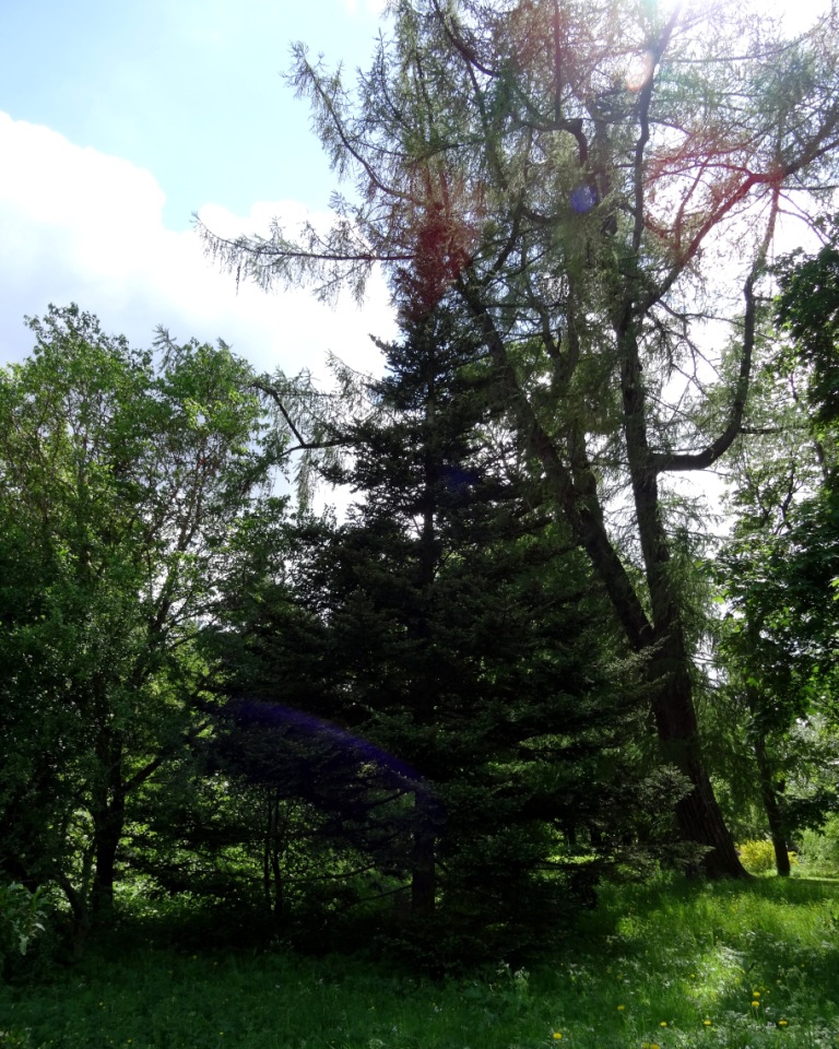 Annexe img 002344089O.jpg