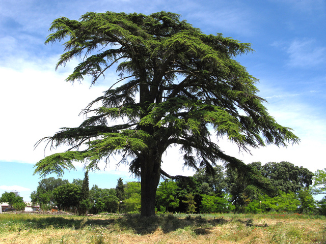 Annexe 8A1C68AD-9495-4E04-819F-087927D2722B.jpeg