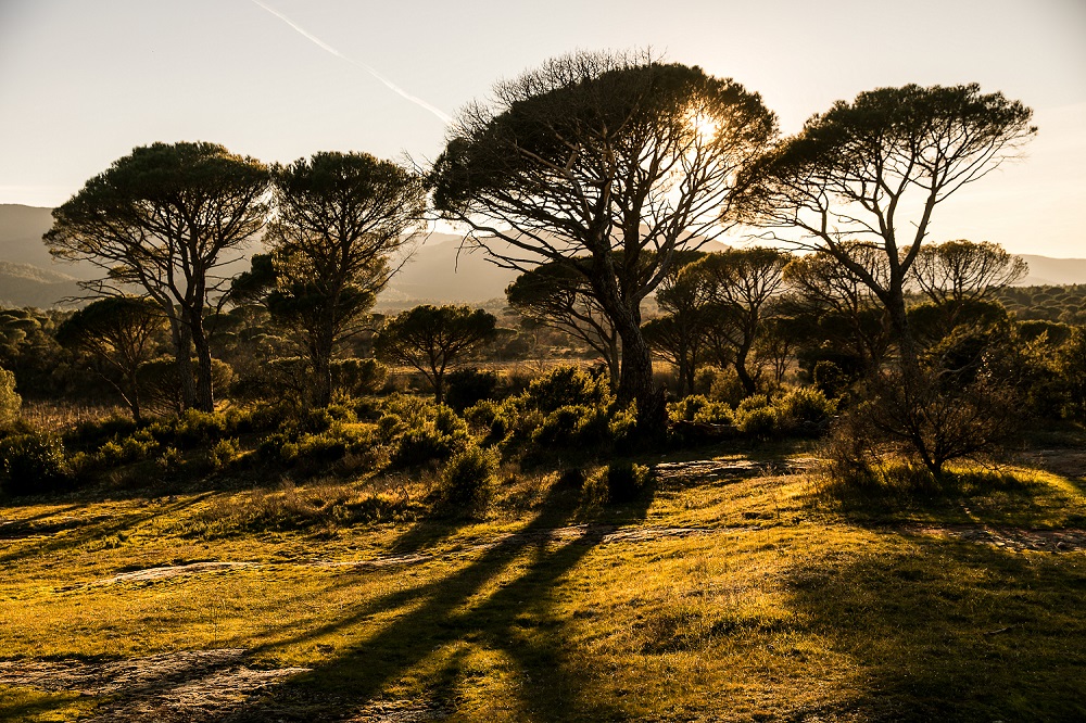 Annexe Plaine des Maures.jpg
