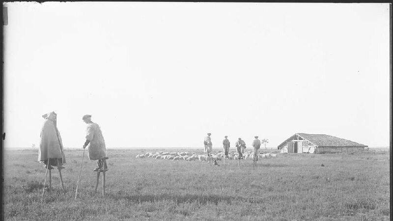 Annexe Bergers-echassiers-Giscos-C-musee-d-Aquitaine-Ville-de-Bordeaux.jpg