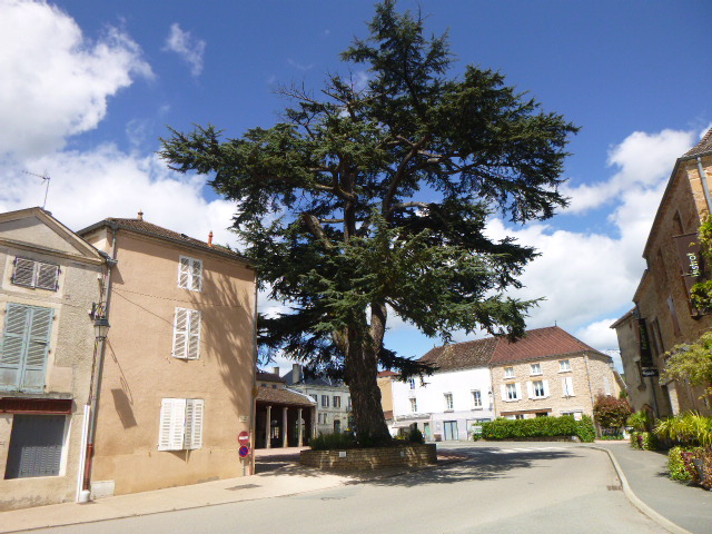 Annexe cedre vue générale.JPG