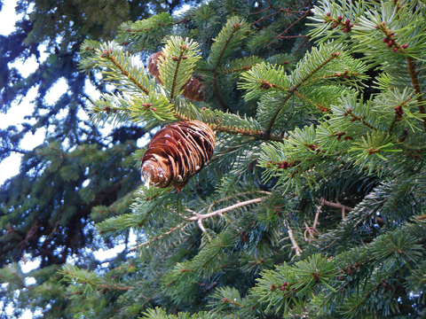 Annexe img_002248650O (1).jpg