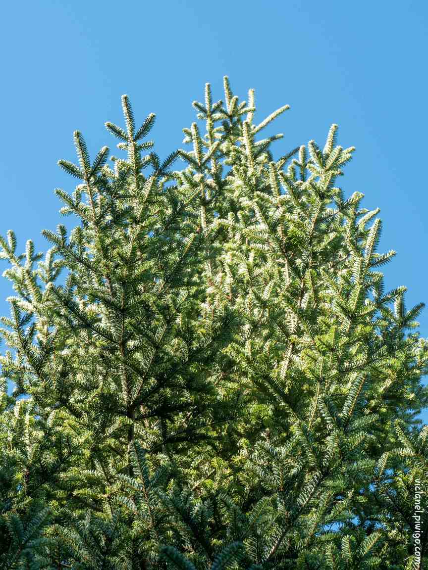 Annexe img_002339704O (1).jpg