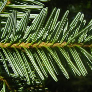 Annexe img_002080210CRS.jpg