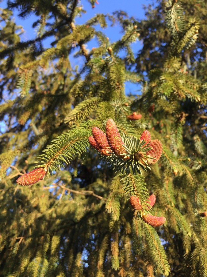 Annexe img-002401085O.jpg