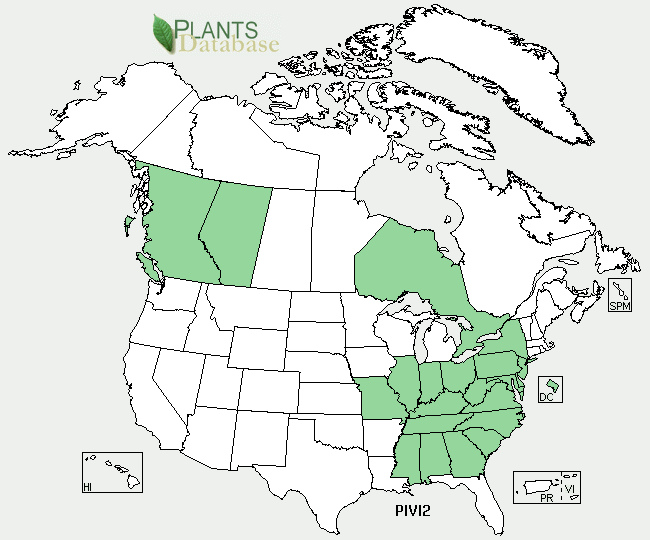 Annexe virginia pine map.png