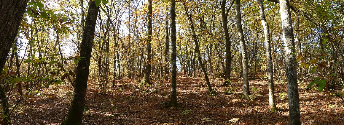 Annexe 20161103-Bricoulet-4-reduit.jpg