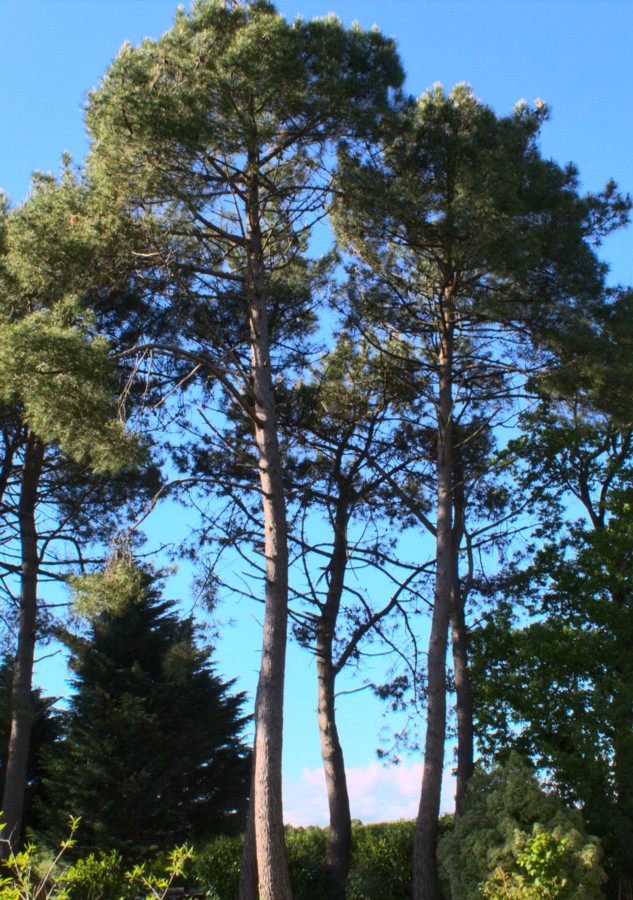 Annexe IMG_0129_01.jpg