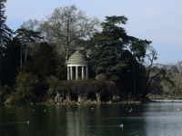 Annexe CedreAtlasBoisVincennes.jpg