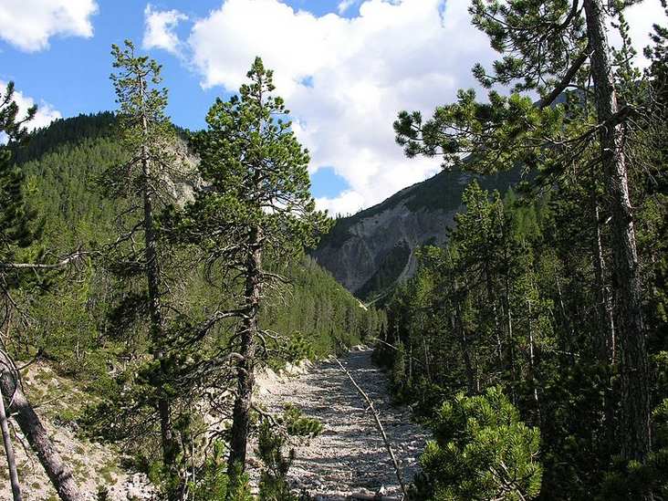 Annexe Capture d’écran 2020-05-06 à 17.57.28.png