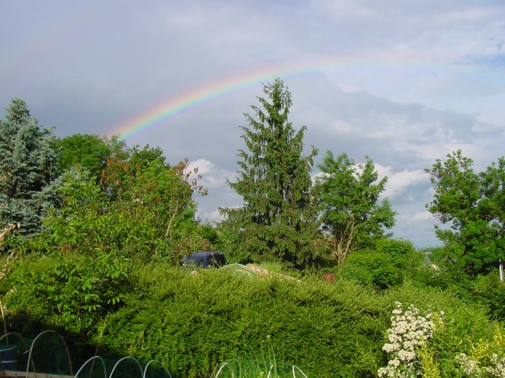 Annexe Pin de Frans AIN.JPG