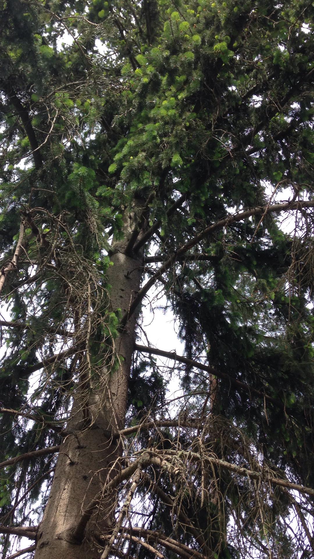 Annexe 96564511_3624731877542200_9165351529811542016_n.jpg