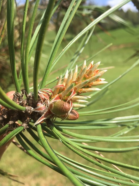 Annexe IMG_3980.jpeg