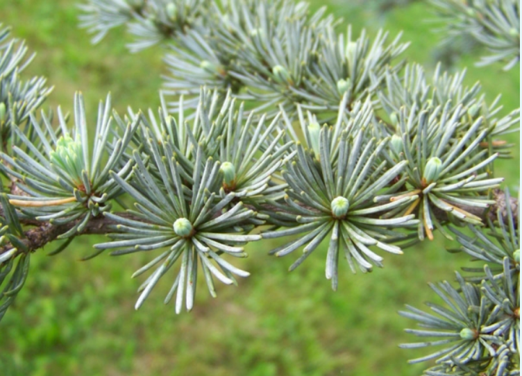 Annexe Capture d’écran 2020-05-07 à 22.24.23.png