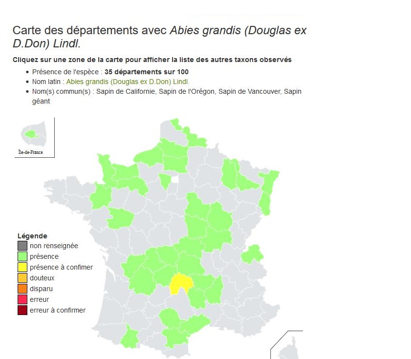 Carte de présence du Sapin de Californie