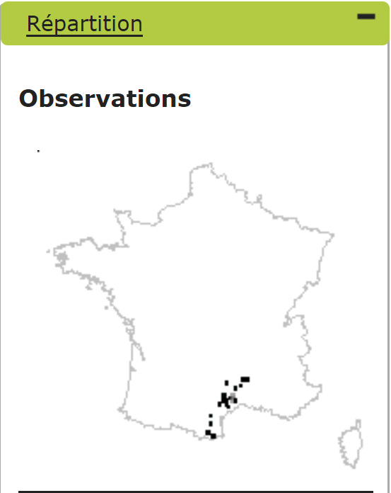 répartition pin de St Guilhem