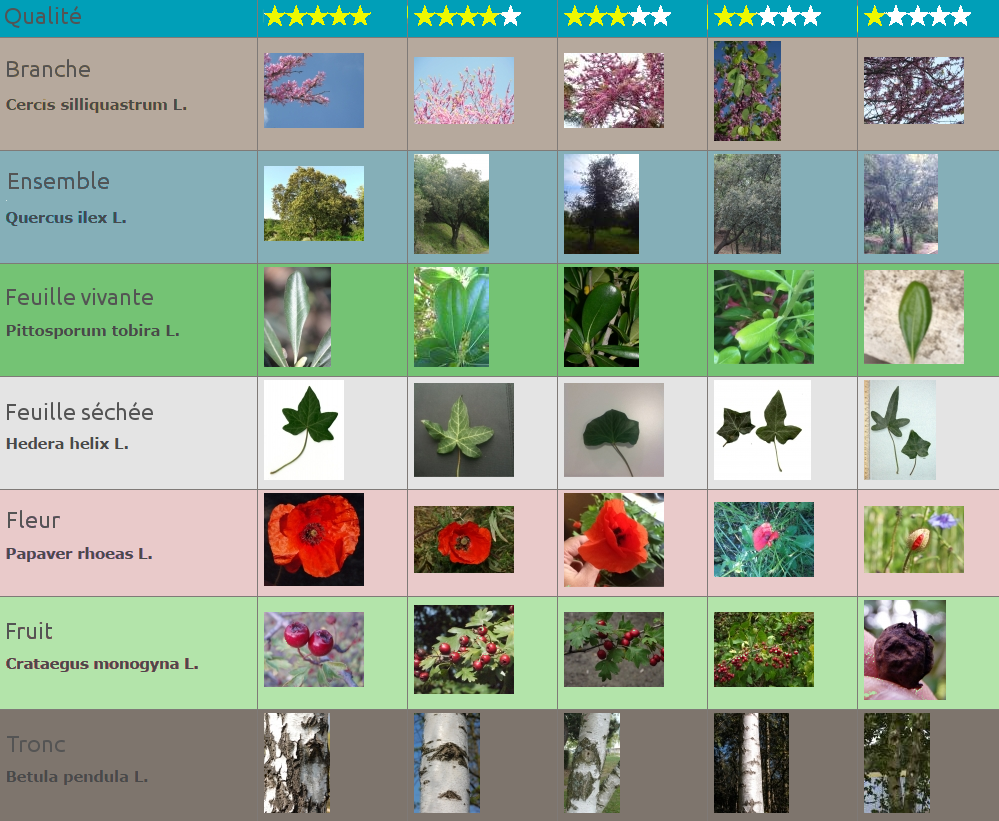 Annexe table_commentprendreenphoto.png