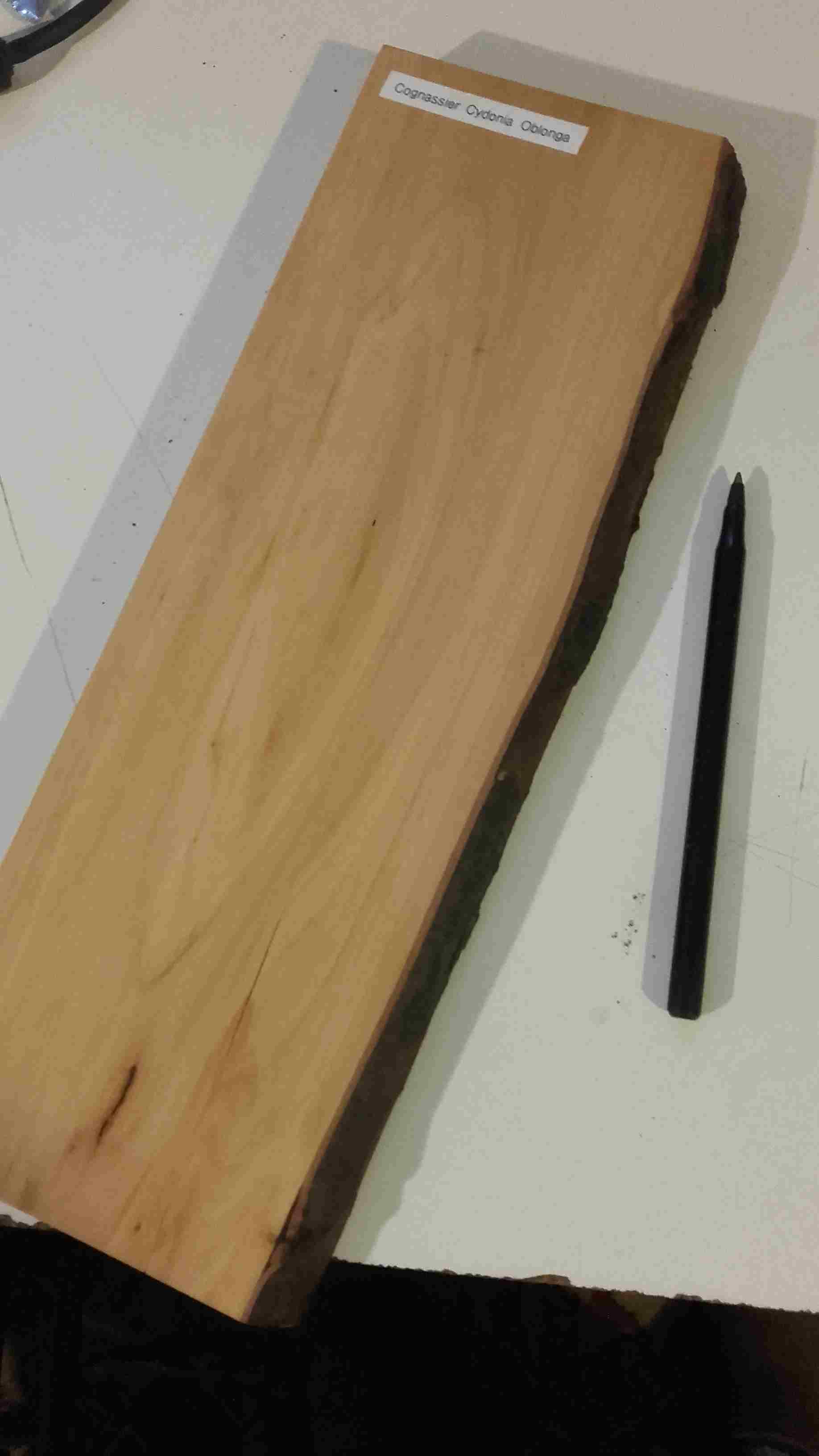 Annexe 20200420_194726_1.jpg