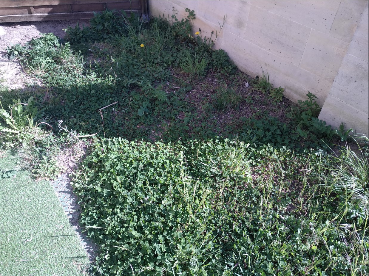 Annexe Annotation 2020-04-22 172952.jpg