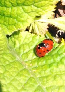 Annexe IMG_20200420_164910.jpg