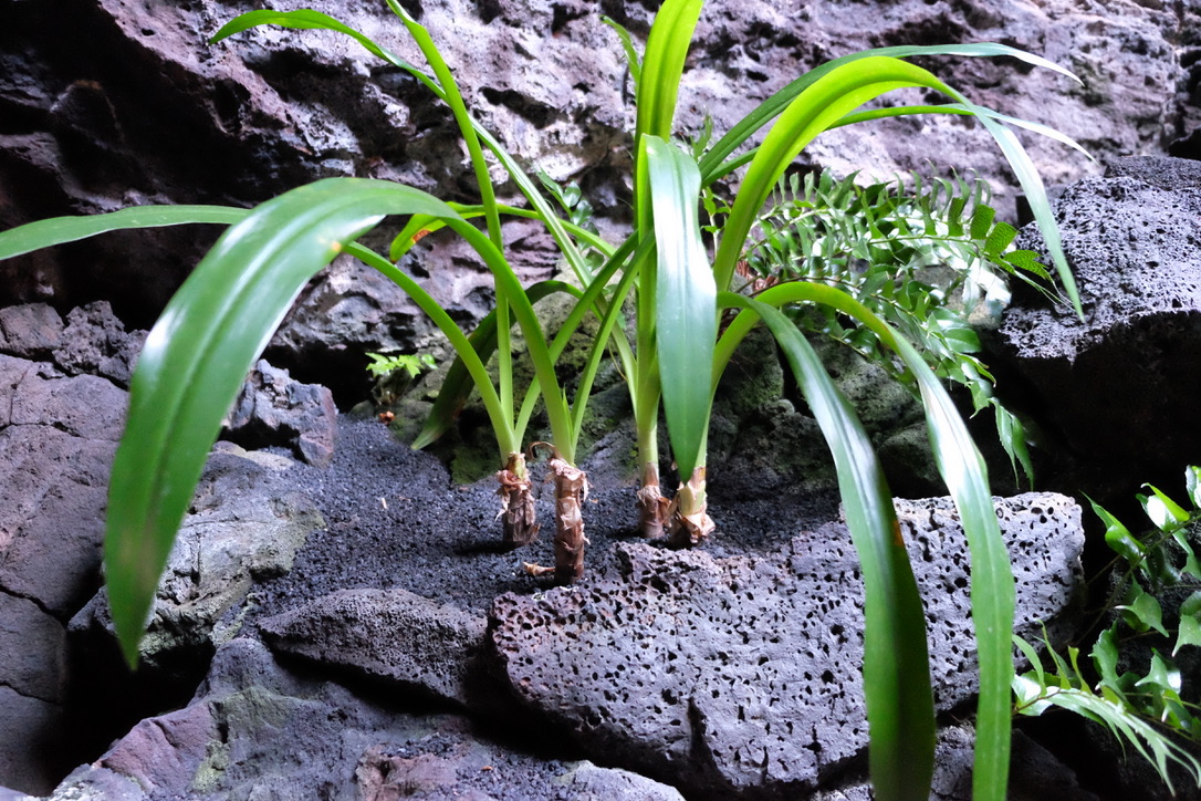 Annexe 751BEEA9-E837-455E-987B-A1E6243FE173_1_105_c.jpeg