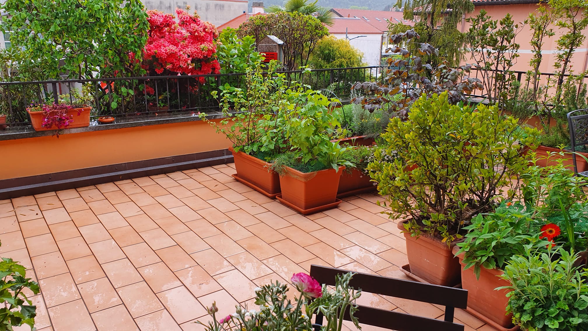 Annexe Terrazza.jpeg